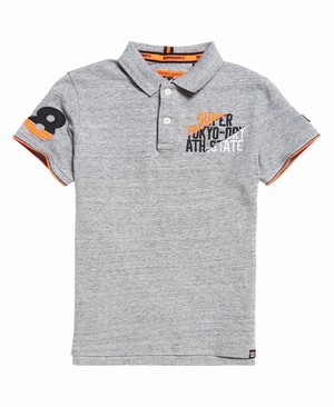 Superdry Super State Champion Organic Cotton Férfi Póló Szürke | IJAUQ9251